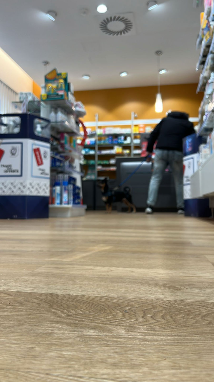 Farmacia Valleggia Savona